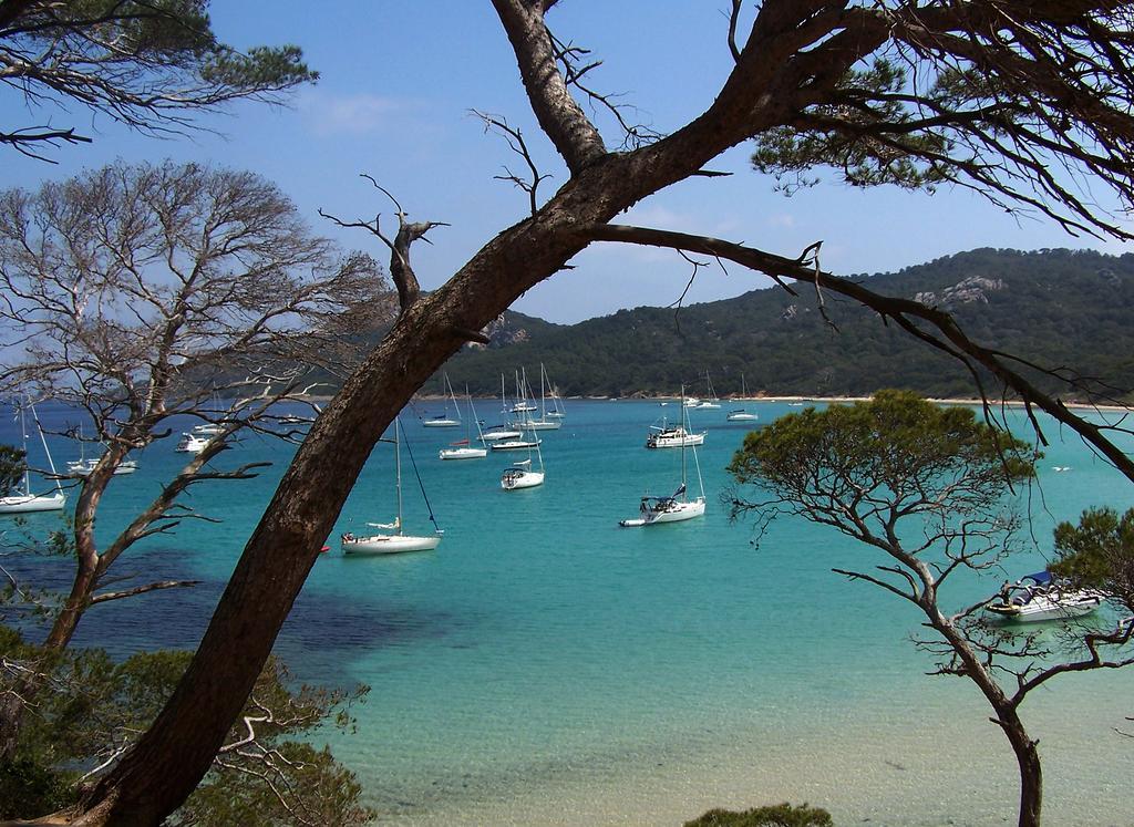 Le Cube Hotel Design A Hyeres Plage Avec Piscine Et Cuisine Zewnętrze zdjęcie